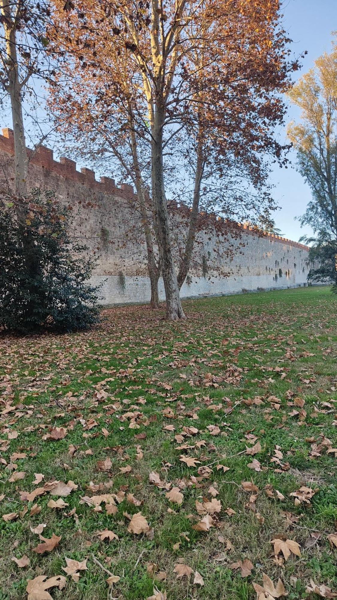 L'Angolo Di Galileo Pisa Kültér fotó